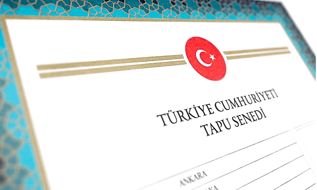 Muris Muvazaası Nedir?