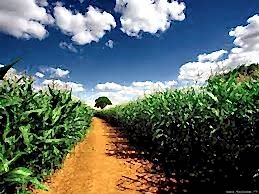 GEÇİT HAKKI KURULMASI NEDİR ?