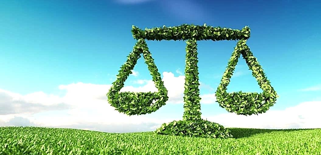 Çevre Hukuku - İdari Para Cezaları - İdari Yargı Yerlerince Verilen Kararlar