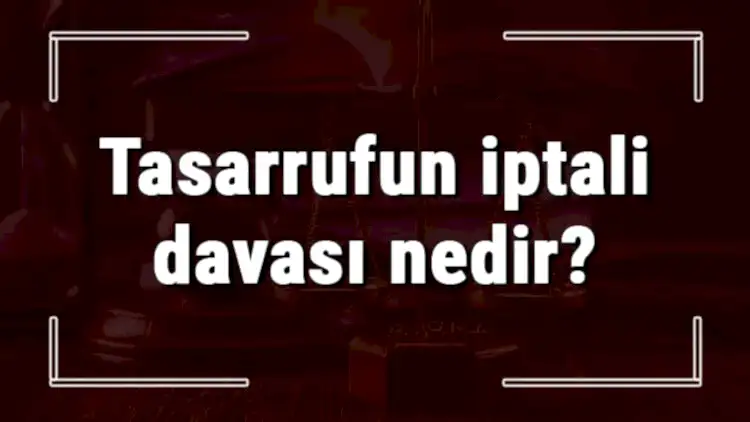 TASARRUFUN İPTALİ DAVASI NEDİR?