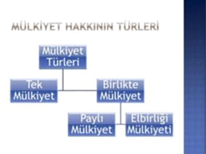 Mülkiyet Hakkının İhlali İddiasının Esasının İncelenmesini ve Giderim Sağlanmasını Engelleyen Kanun Hükmü Nedeniyle Etkili Başvuru Hakkının İhlal Edilmesi