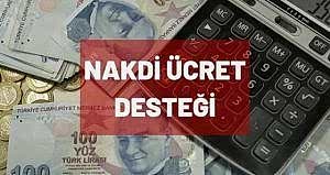 7244 SAYILI KANUN KAPSAMINDA GETİRİLEN NAKDİ ÜCRET DESTEĞİ