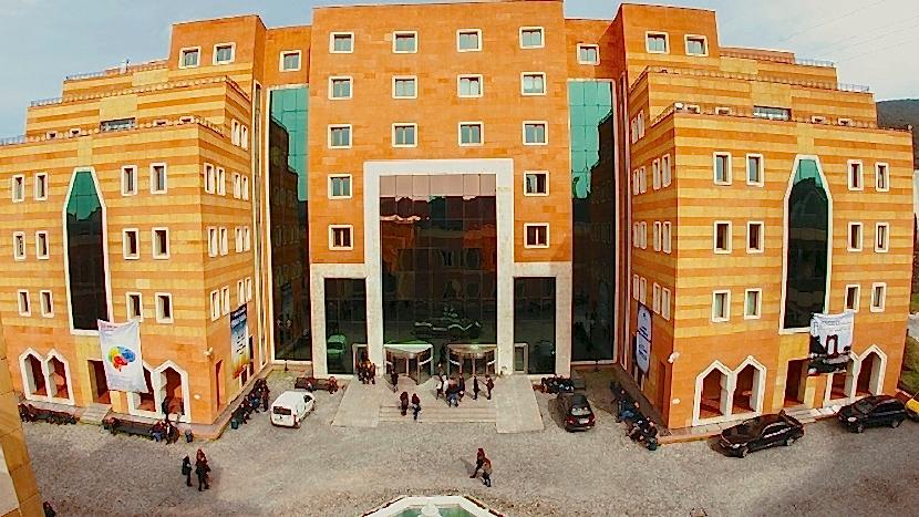 Vakıf Yükseköğretim Kurumlarında Çalışan Öğretim Üyelerinin Taraf Olduğu Uyuşmazlıklara İlişkin İdari Yargı Uygulamaları-KARARLAR